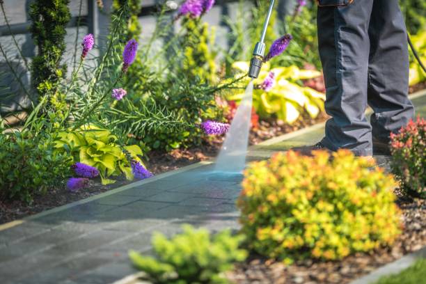 Best Patio and Deck Pressure Washing  in Guymon, OK