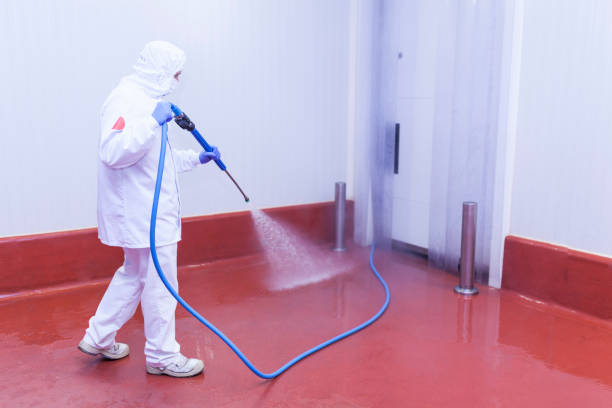 Best Roof Washing  in Guymon, OK