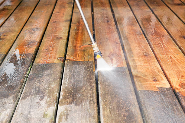 Best Animal Enclosure Cleaning  in Guymon, OK